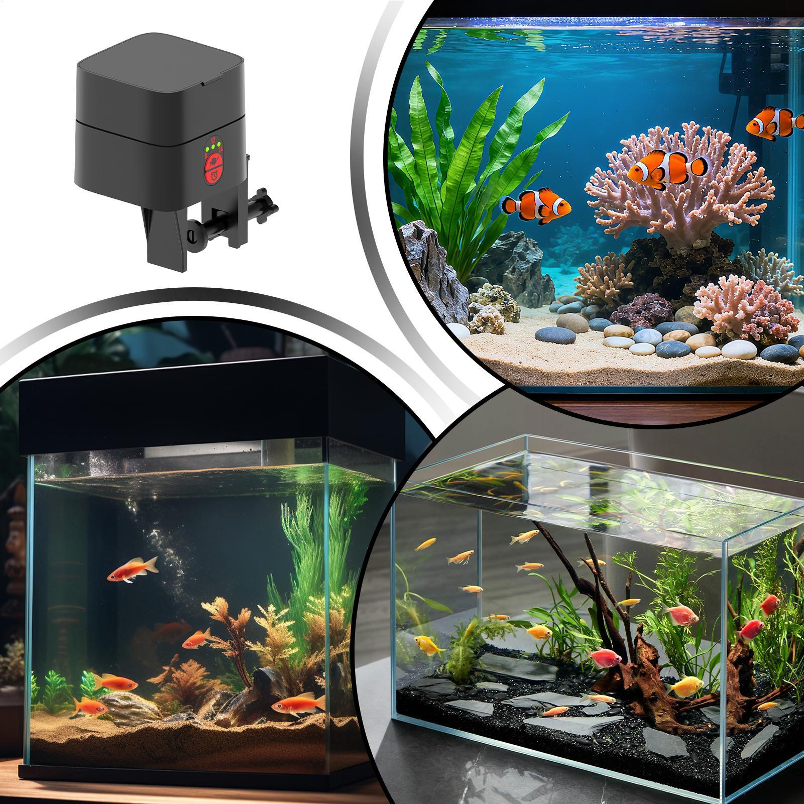 Pengumpan Ikan Otomatis untuk  - Fishing Line Dispenser ulasan dan harga